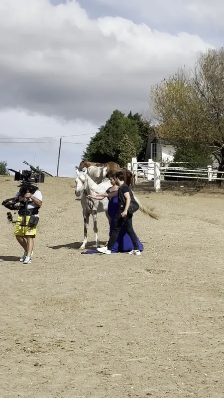 Camera, horse and dancer in the riding arena