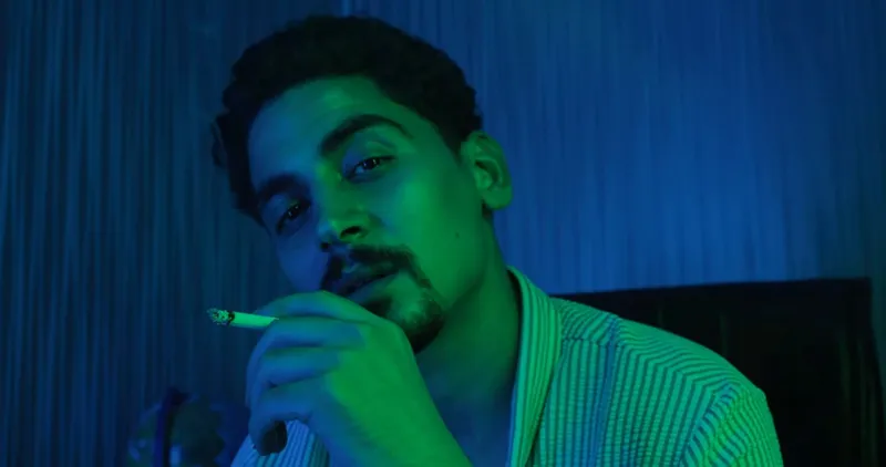 Neon-lit close-up at night